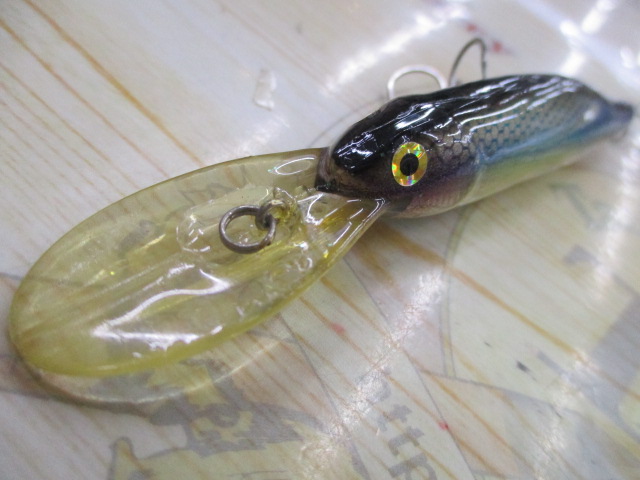 ﾗｲﾌﾞXﾌﾟﾗｽ