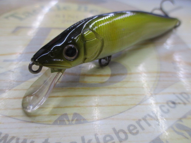 ﾋﾞｼﾞｮﾝ95