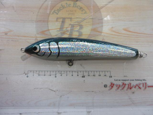 ﾌﾞﾙｰﾌｨｯｼｭ100