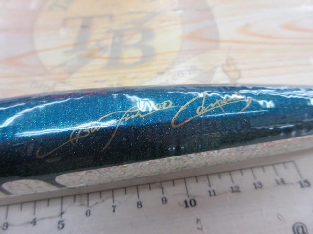 ﾌﾞﾙｰﾌｨｯｼｭ100