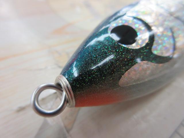 ﾌﾞﾙｰﾌｨｯｼｭ100