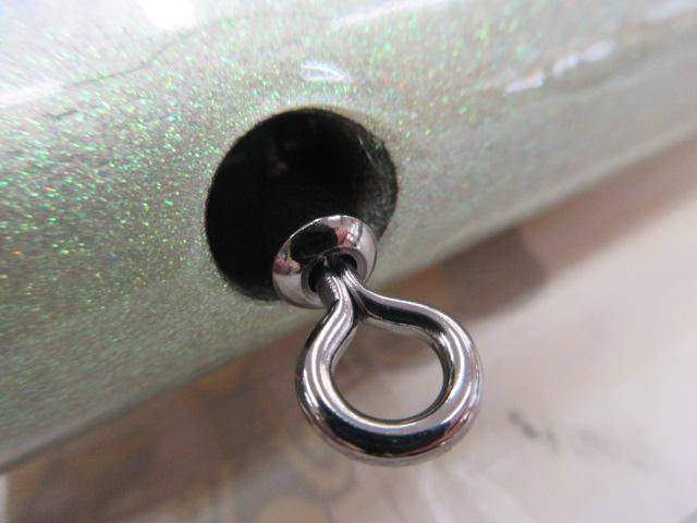 ﾌﾞﾙｰﾌｨｯｼｭ100