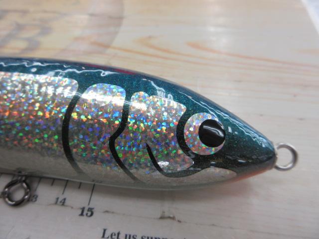 ﾌﾞﾙｰﾌｨｯｼｭ100