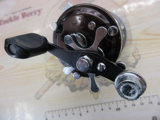 ﾃｯﾄﾞｳｨﾘｱﾑｽﾞ535