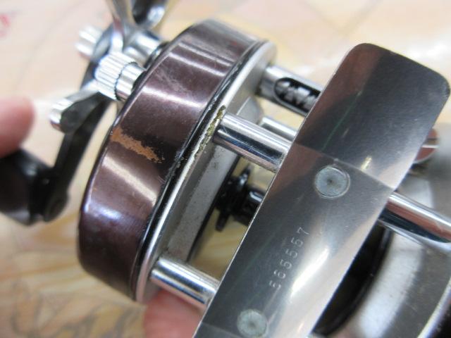 ﾃｯﾄﾞｳｨﾘｱﾑｽﾞ535