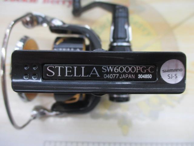 20ｽﾃﾗSW 6000PG