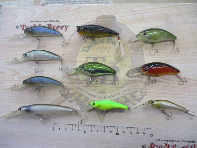 【ｾｯﾄ商品】ｴﾊﾞｰｸﾞﾘｰﾝ　ﾙｱｰ10点ｾｯﾄ!!