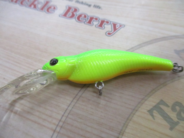 【ｾｯﾄ商品】ｴﾊﾞｰｸﾞﾘｰﾝ　ﾙｱｰ10点ｾｯﾄ!!