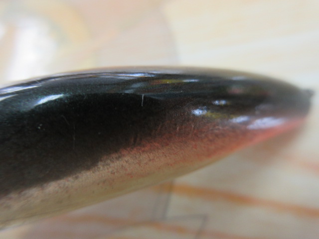 ｻﾞﾝﾏｲ　ﾌｧｯﾄ70MDforLake　ﾜｶｻｷﾞ