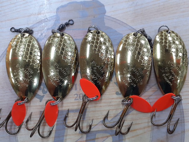 【ｾｯﾄ商品】ABUﾌﾟﾗﾝｸﾄﾝﾌｪﾊﾞﾘｯﾄ12g14個 