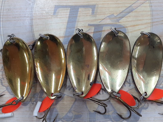 【ｾｯﾄ商品】ABUﾌﾟﾗﾝｸﾄﾝﾌｪﾊﾞﾘｯﾄ12g14個 