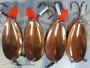 【ｾｯﾄ商品】ABUﾌﾟﾗﾝｸﾄﾝﾌｪﾊﾞﾘｯﾄ12g14個 