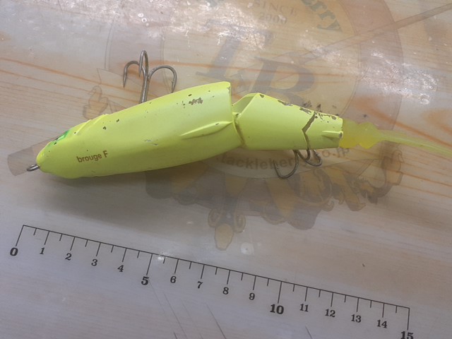 ﾌﾞﾙｰｼﾞｭ150