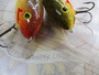 【ｾｯﾄ商品】ｺｯﾄﾝｺｰﾃﾞﾙ　ﾋﾞｯｸﾞｵｰｳｯﾄﾞC80
