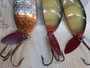 【ｾｯﾄ商品】BETE ｸﾛｺﾀﾞｲﾙ 6個