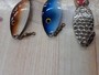 【ｾｯﾄ商品】BETE ｸﾛｺﾀﾞｲﾙ 6個