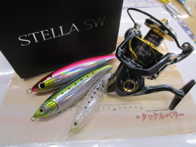 【ｾｯﾄ商品】25ｽﾃﾗSW 8000HG ﾙｱｰ付
