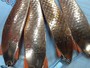【ｾｯﾄ商品】ABU ﾄﾋﾞｰ 20g 3/4oz 8個