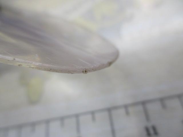 ポリス