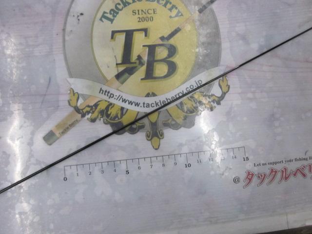 陽舟 十一
