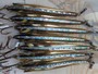 【ｾｯﾄ商品】ABU ﾄﾋﾞｰ 18g 15個