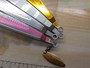 【ｾｯﾄ商品】ﾃﾞﾝｼﾞｸﾞﾐﾐｯｸ230g4個ｾｯﾄ