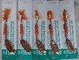 【ｾｯﾄ商品】ABU ｿﾞﾈｯﾄ12g3/7oz K 15個