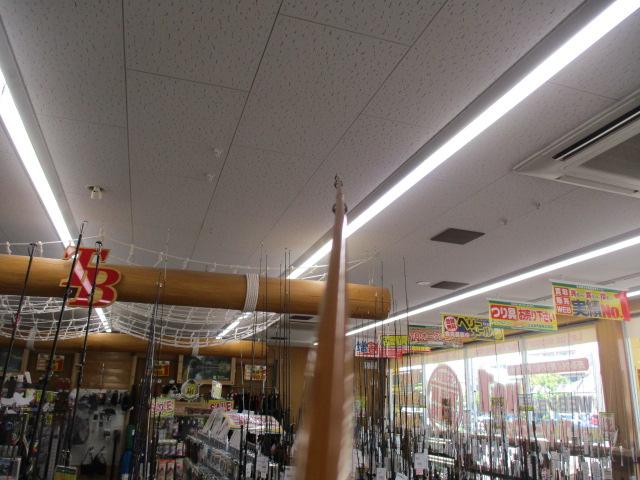道楽ﾊﾞﾝﾌﾞｰﾛｯﾄﾞ6ft