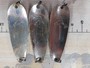 【ｾｯﾄ商品】KUUSAMO ｸｻﾓﾝ ｽﾌﾟｰﾝ 11個