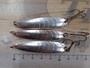 【ｾｯﾄ商品】ﾊﾟﾗﾊﾞﾝ ﾐﾝｸ 18g 3個