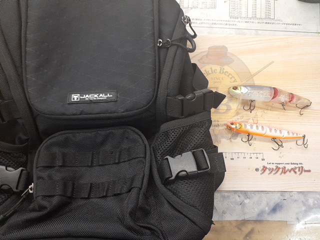 【ｾｯﾄ商品】ﾌﾗｯﾌﾟﾊﾞｯｸﾊﾟｯｸ+ﾙｱｰｾｯﾄ