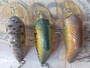 【ｾｯﾄ商品】ﾒｶﾞﾊﾞｽ ﾍﾞｲﾄX ﾎｲﾙ貼り 3個