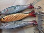 【ｾｯﾄ商品】ABUｼｬｲﾅｰ7個ｱｿｰﾄ