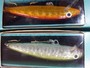 【ｾｯﾄ商品】ﾗﾊﾟﾗ 100thﾙｱｰ LR100 6個