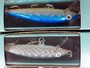【ｾｯﾄ商品】ﾗﾊﾟﾗ 100thﾙｱｰ LR100 6個