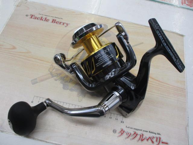 13ｽﾃﾗSW 8000HG