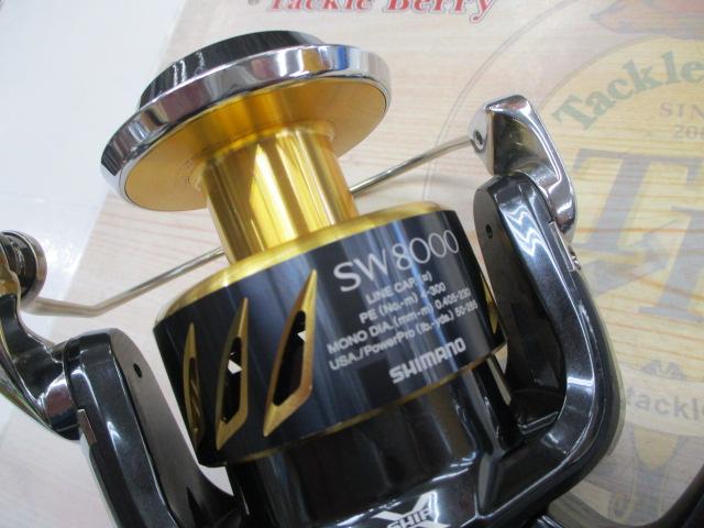 13ｽﾃﾗSW 8000HG