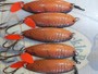 【ｾｯﾄ商品】ABU ﾌﾟﾗﾝｸﾄﾝﾌｪﾊﾞﾘｯﾄ12g11個