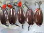 【ｾｯﾄ商品】ABU ﾌﾟﾗﾝｸﾄﾝﾌｪﾊﾞﾘｯﾄ12g11個