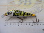 HEDDON(ﾍﾄﾞﾝ)　ﾀｲｶﾞｰ