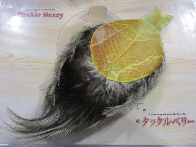 【超激ﾚｱﾊｯｸﾙ】WHITING　COQ　DE　LEON