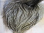 【超激ﾚｱﾊｯｸﾙ】WHITING　COQ　DE　LEON