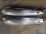 【ｾｯﾄ商品】ｽﾃｨﾝｸﾞｼﾙﾀﾞ ｽﾇｯｾﾝ 12g 7個