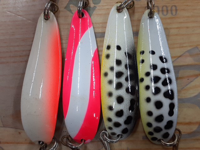 【ｾｯﾄ商品】ﾊﾟﾗﾊﾞﾝ ｻﾗﾏﾝﾀﾞｰ 10g 10個