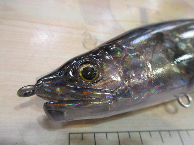 ｼﾞｮｲﾝﾃｯﾄﾞｸﾛｰﾏｸﾞﾅﾑﾌﾞﾙｰﾌﾞﾙｰVER湾奥鱸