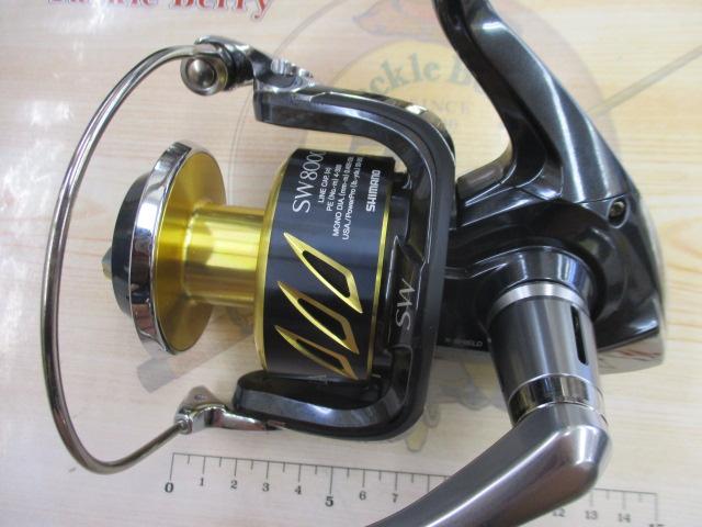 13ｽﾃﾗSW 8000HG