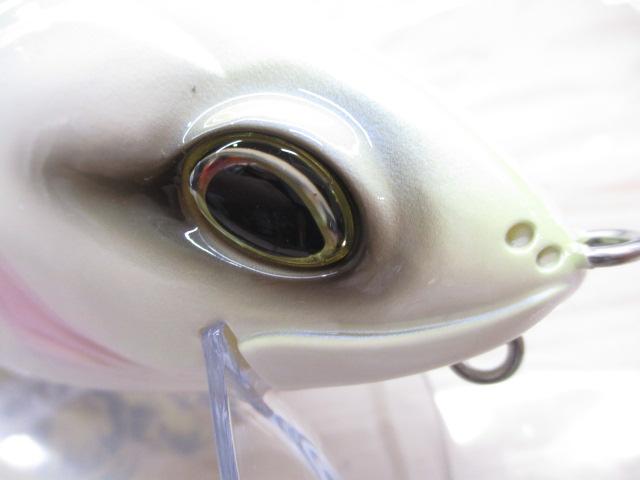 ｸﾗｯｼｭﾌﾚﾝｼﾞｰ#ｸｲｰﾝ