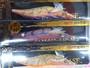【ｾｯﾄ商品】ﾜｲﾙﾄﾞﾁｪｲｽ3.5号6個ｱｿｰﾄ
