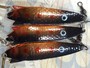 【ｾｯﾄ商品】ABU ﾄﾋﾞｰ 10g 3/8oz 11個