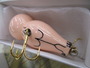 【ｾｯﾄ商品】伝染るんです　3個ｾｯﾄ
